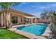 Backyard featuring a sparkling blue pool, covered patio, and desert landscaping at 903 W Raven Dr, Chandler, AZ 85286