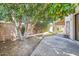 Secluded backyard featuring a mature tree and a covered patio with classic column supports at 10062 E Cinnabar Ave, Scottsdale, AZ 85258