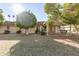 Expansive backyard with lush green grass, mature trees, and a covered patio, perfect for outdoor activities at 10425 W Desert Forest Cir, Sun City, AZ 85351