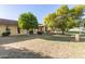 Large backyard featuring well-maintained lawn, shade trees, and covered patio offering a tranquil outdoor space at 10425 W Desert Forest Cir, Sun City, AZ 85351