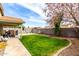 Private backyard with lush green grass, block fencing and a covered patio, perfect for outdoor enjoyment at 1347 E Vernoa St, San Tan Valley, AZ 85140