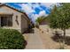 Landscaped walkway between two homes with decorative rock and mature trees at 15885 W Remington Dr, Surprise, AZ 85374