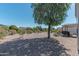 Private backyard with mature landscaping, providing a serene and relaxing outdoor space at 19615 N Sunburst Way, Surprise, AZ 85374