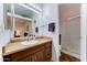 Bright bathroom with a well-maintained vanity, mirror, and a convenient walk-in shower for a refreshing experience at 2101 S Meridian Rd # 99, Apache Junction, AZ 85120
