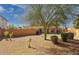 View of the backyard with desert landscaping and mature trees at 2916 E Amber Ridge Way, Phoenix, AZ 85048