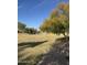 Expansive green space with mature trees, offering a serene park setting for recreation and relaxation at 29908 W Monterey Dr, Buckeye, AZ 85396