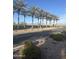 Scenic street with palm trees lining the road and a view of the mountains in the background at 29908 W Monterey Dr, Buckeye, AZ 85396