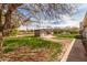 The home's backyard with mature trees, shed, and potential for landscaping and outdoor living at 3137 W Baseline Rd, Laveen, AZ 85339
