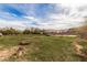 Expansive backyard with mature trees and mountain views in the distance at 3137 W Baseline Rd, Laveen, AZ 85339