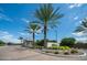 Welcome to The Grove. Beautiful community entrance with lush landscaping at 4457 E Fountain St, Mesa, AZ 85205