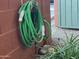 Exterior shot of green garden hose on brick wall with greenery at 4750 N Central Ave # 1N, Phoenix, AZ 85012