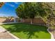 Large backyard boasts artificial turf, brick patio, and mature shade trees at 4059 E Mesquite St, Gilbert, AZ 85296