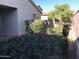 Beautifully landscaped backyard with mature plants and colorful flowers for added charm at 2638 W Sat Nam Way, Phoenix, AZ 85086