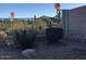 Private backyard with desert landscaping and hot air balloons in the sky at 2638 W Sat Nam Way, Phoenix, AZ 85086