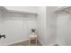 Walk-in closet featuring neutral carpet, shelves, and a charming chair at 10241 E La Palma Ave, Gold Canyon, AZ 85118