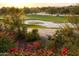 Beautiful golf course views with desert landscaping, wildflowers, cacti, and trees at 10596 E Yearling Dr, Scottsdale, AZ 85255