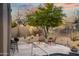 Inviting backyard showcasing desert landscaping, a built-in firepit, and cozy seating under a mature shade tree at 33601 N 64Th St, Scottsdale, AZ 85266