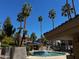 Resort style community pool surrounded by lush landscaping and tall palm trees for a relaxing atmosphere at 5132 N 31St Way # 123, Phoenix, AZ 85016