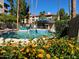 A luxurious pool area, lush with greenery and inviting lounge chairs, promises relaxation and leisure at 5132 N 31St Way # 123, Phoenix, AZ 85016