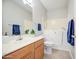 Well-lit bathroom features a walk-in tub, wooden cabinets and a mirror at 5289 S Red Yucca Ln, Gold Canyon, AZ 85118