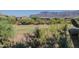 Scenic view of lush golf course surrounded by desert landscape and mountains at 5370 S Desert Dawn Dr # 30, Gold Canyon, AZ 85118
