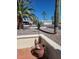 Desert landscaping with palm trees, cactus and a unique planter at 907 E Lancaster Cir, Florence, AZ 85132
