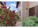 Home's entry boasts vibrant landscaping, including a lush bougainvillea adding curb appeal and a welcoming touch at 17808 N 45Th Ave, Glendale, AZ 85308