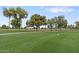 Lush green golf course with mature trees in the background at 17808 N 45Th Ave, Glendale, AZ 85308