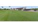 Beautiful golf course landscape with vibrant green grass at 17808 N 45Th Ave, Glendale, AZ 85308