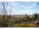 Desert landscape featuring distant mountain views and blooming wildflowers in the foreground at 18244 W Daley Ln, Surprise, AZ 85387