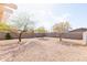 Expansive backyard with desert landscape, shade trees, and ample space for recreation and relaxation at 1037 E Dust Devil Dr, San Tan Valley, AZ 85143