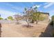 Large backyard featuring desert landscaping, mature trees, and privacy walls, offering a serene outdoor space at 1037 E Dust Devil Dr, San Tan Valley, AZ 85143