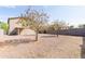 Private backyard showcasing low-maintenance desert landscaping, mature trees, and covered patio with block fence at 1037 E Dust Devil Dr, San Tan Valley, AZ 85143