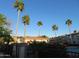 Inviting community pool surrounded by lush palm trees, perfect for relaxation and recreation at 1941 S Pierpont Dr # 2082, Mesa, AZ 85206