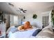 Comfortable bedroom boasts decorative plants, a crib, and ample natural light at 2912 E Eberle Ln, Phoenix, AZ 85032
