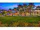 Expansive green lawn and luxury building exterior with palm trees, creating a serene ambiance at 29854 N 132Nd Dr, Peoria, AZ 85383