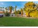 Expansive backyard with lush green lawn and desert landscaping for a private retreat at 5642 E Justine Rd, Scottsdale, AZ 85254