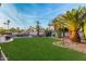 Spacious backyard with a pristine lawn, mature palm trees, and desert landscaping at 5642 E Justine Rd, Scottsdale, AZ 85254