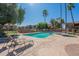Community pool offering lounge chairs and beautiful views of the palm trees at 5877 N Granite Reef Rd # 1155, Scottsdale, AZ 85250
