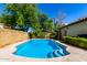 Private backyard pool surrounded by desert landscaping, perfect for enjoying warm days at 930 E Citation Ln, Tempe, AZ 85284