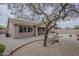 A well-landscaped backyard with desert landscaping, featuring rocks and a large mature tree at 16526 W Calle Lejos --, Surprise, AZ 85387