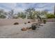 Desert landscaped backyard with gravel, trees and shrubs create a serene outdoor living space at 16526 W Calle Lejos --, Surprise, AZ 85387