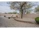 Landscaped backyard with decorative rock, mature trees, and privacy wall, offering a tranquil and low-maintenance space at 16526 W Calle Lejos --, Surprise, AZ 85387