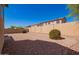 Expansive backyard featuring desert landscaping, mature shrubs, and privacy wall at 17458 W Wandering Creek Rd, Goodyear, AZ 85338