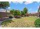 Spacious backyard features a well-maintained lawn, privacy fence, and mature trees, perfect for outdoor activities at 18237 W Port Au Prince Ln, Surprise, AZ 85388