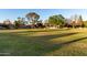 Expansive green space perfect for outdoor activities, framed by mature trees and neighborhood homes at 2717 W Medina Ave, Mesa, AZ 85202