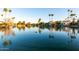 Tranquil lake view featuring lush landscaping, palm trees, and waterfowl swimming in clear blue water at 2717 W Medina Ave, Mesa, AZ 85202