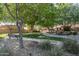 Scenic community park featuring lush greenery, walking paths, and inviting benches at 5641 E Grovers Ave, Scottsdale, AZ 85254