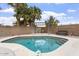 Beautiful backyard featuring a sparkling in-ground pool, a lush patio, and privacy fencing at 1520 E Flint St, Chandler, AZ 85225