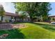 Spacious backyard with lush lawn, covered patio, and large tree providing shade at 3109 N Meadow Dr, Avondale, AZ 85392